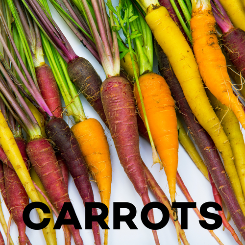 Carrots: A Secret Weapon for Diabetes and Gut Health